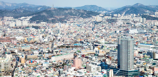 Why Gwangju Is South Korea’s Hidden Gem for Students and Expats?