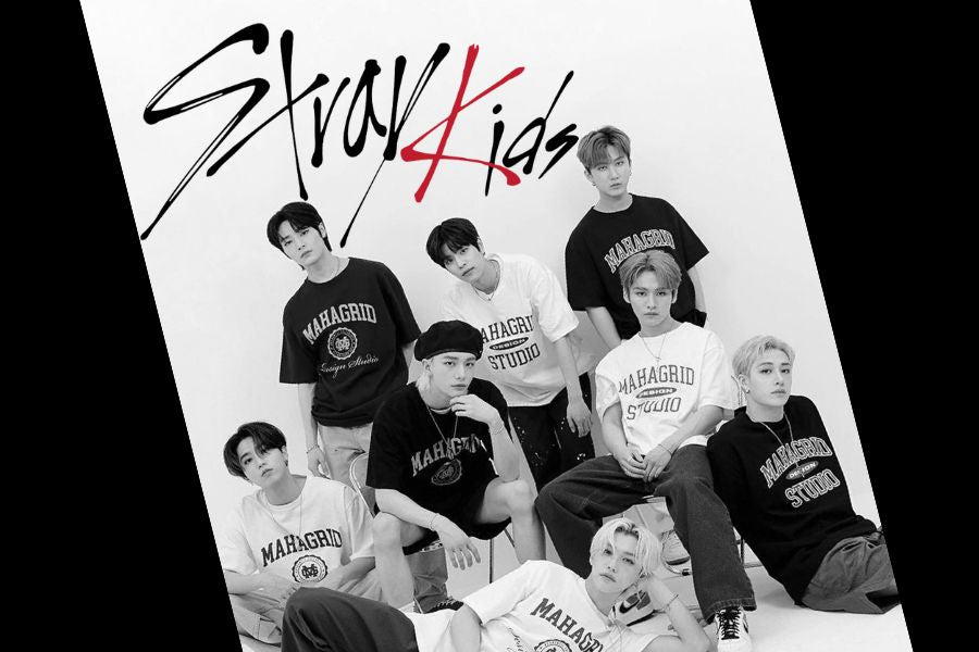 Stray Kids Maxident New Album Case 143 Kpop Best T-Shirt