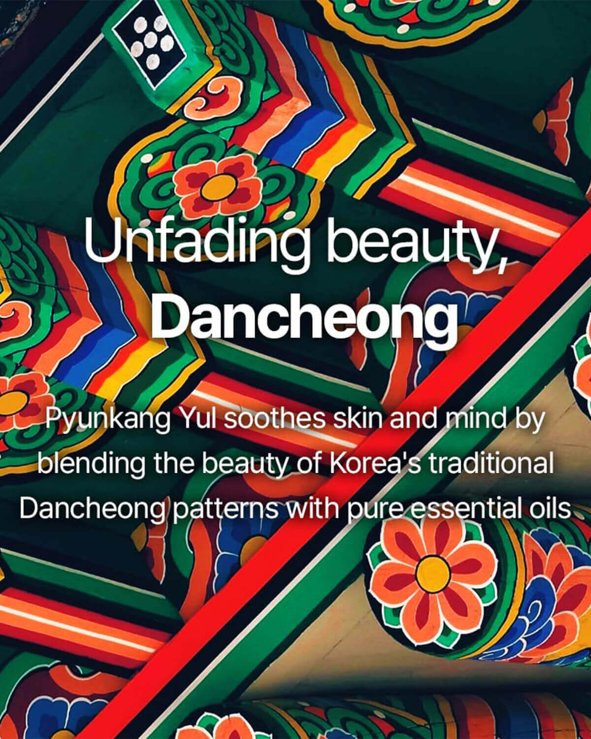 Pyunkang Yul Hand Wash Dancheong