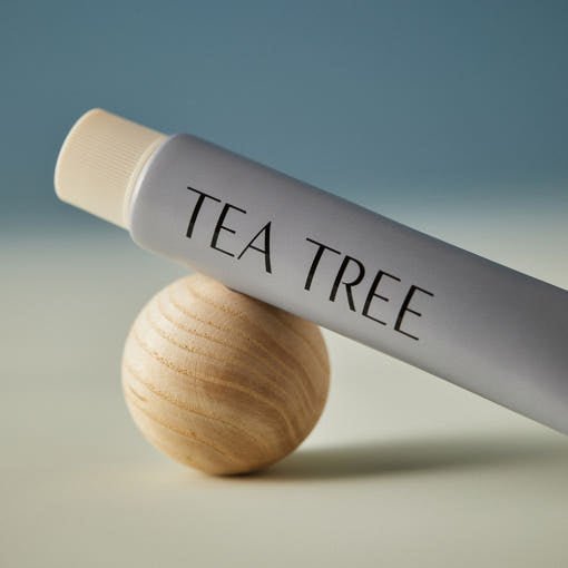 AROMATICA Tea Tree Balancing Toothpaste 100ml - Daebak