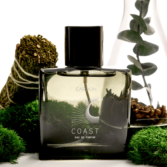 Coast Functional Fragrance - Daebak