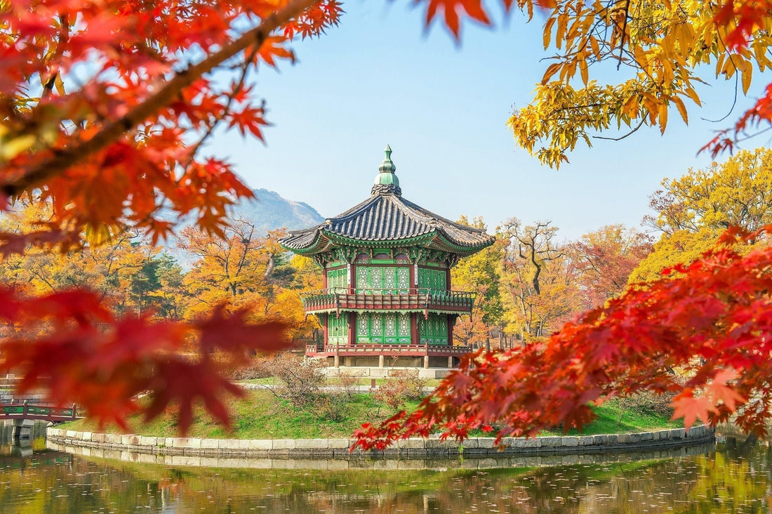10 Korean Customs Every Visitor Should Know - Daebak