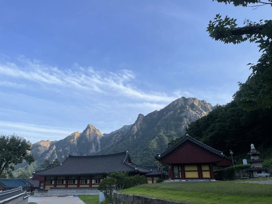 10 Must-Visit Nature Spots in Korea: Mountains, Wetlands and Island Escapes - Daebak