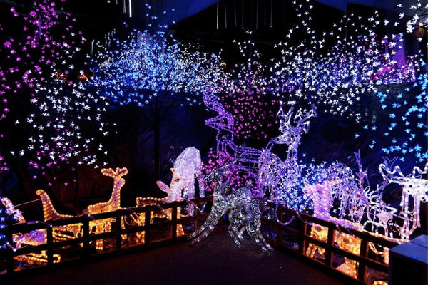 4 mejores festivales de luz navideña en Corea