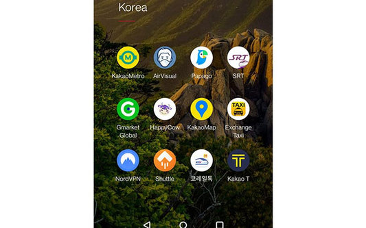5 Essential Apps Every Traveler Should Have When Visiting Korea - Daebak