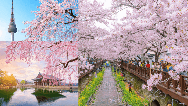 5 Must Try Spring Break Activities While You're in Korea 2022