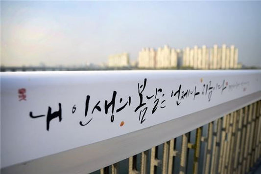 5 Mindset Shifts that Made Life in Korea Easier as a Foreign Student
