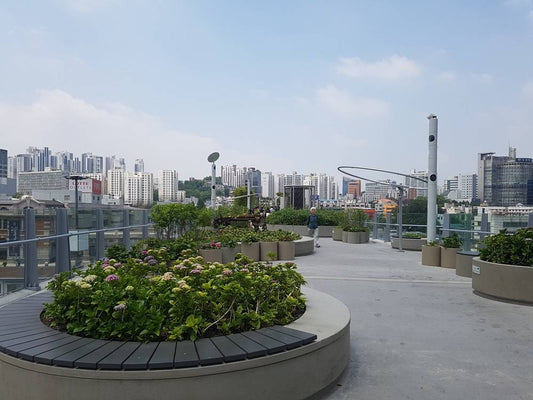 A Garden Above the Streets of Seoul: Seoullo 7017 - Daebak