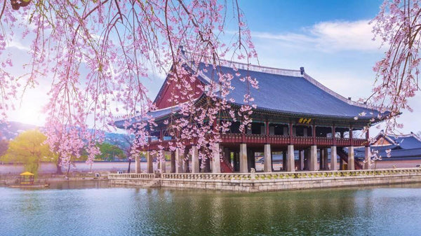 過去を垣間見る: ソウルの史跡