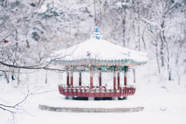 A Guide to Winter in Korea: What to Expect and How to Prepare