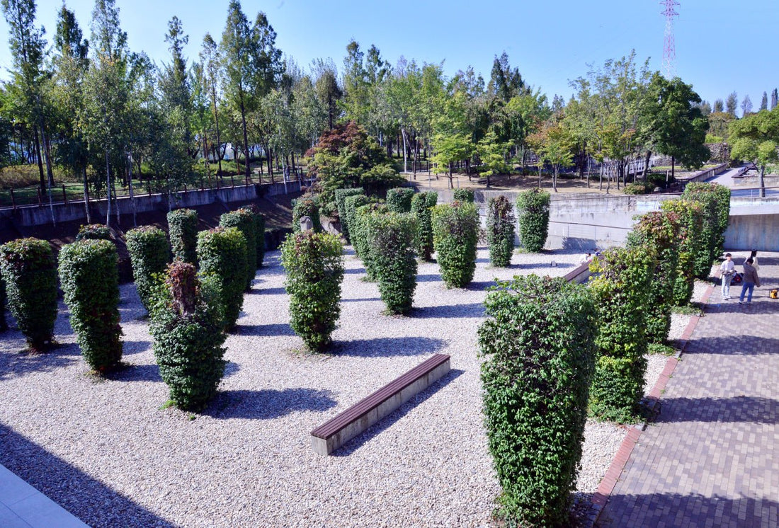 A Hidden Island in the Han River: Seonyudo Park - Daebak