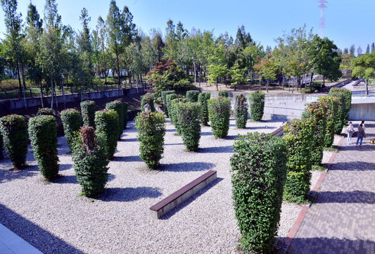 A Hidden Island in the Han River: Seonyudo Park - Daebak