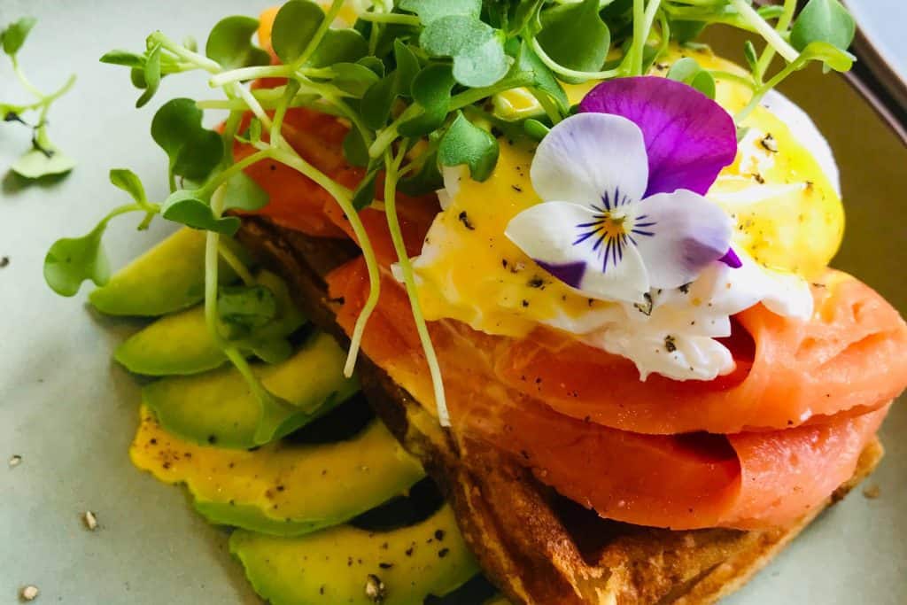 A Morning in the Flora of Summer Lane Cafe - Daebak
