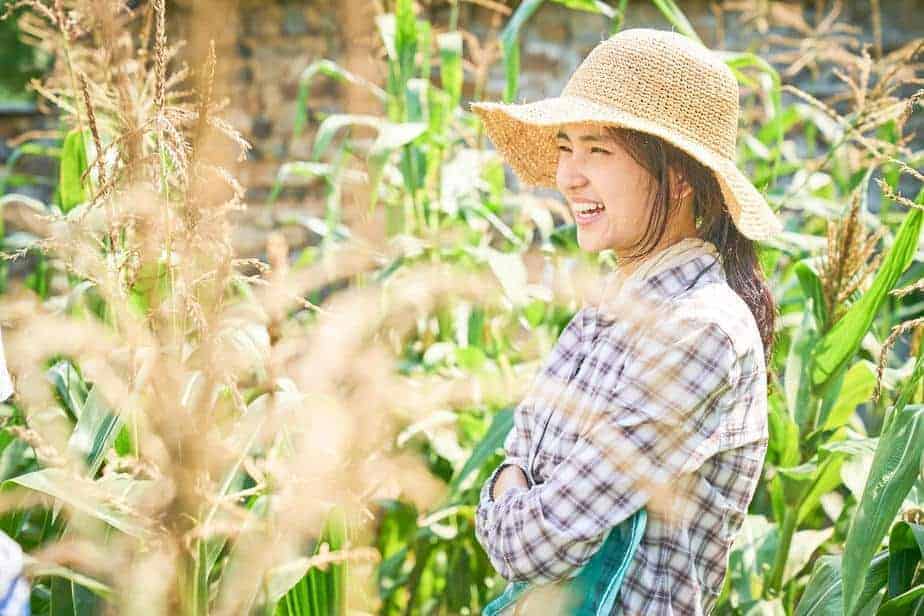 A Refreshing Cool Breeze Found in 'Little Forest' - Daebak