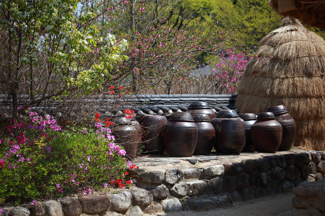 Best Day Trips from Seoul: 8 Amazing Destinations Worth Exploring - Daebak