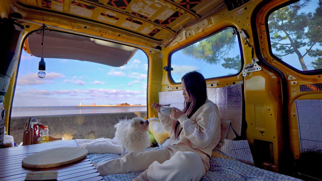 Camping in Korea! What You're Actually Missing Out On - Daebak