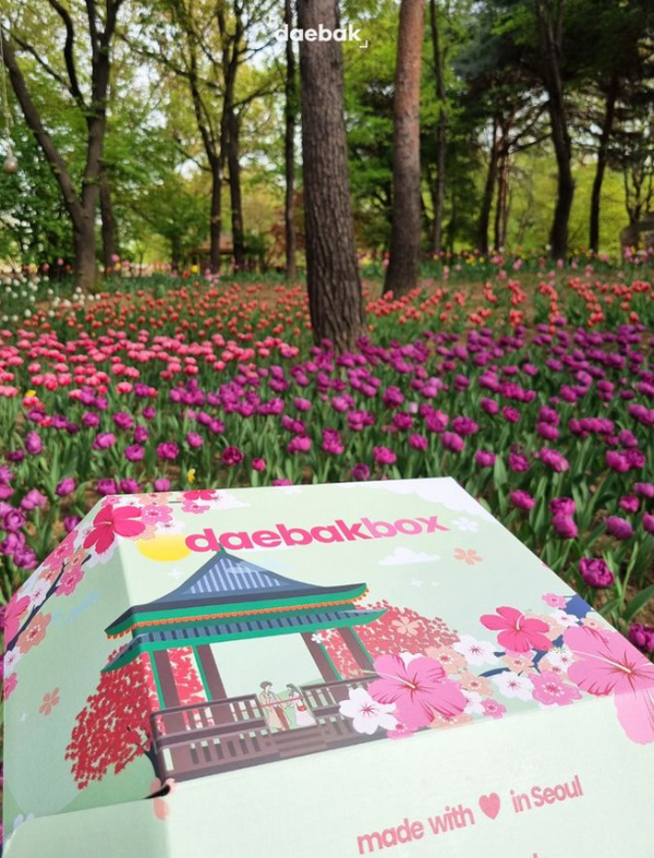 It’s the End of Spring at Daebak!