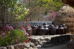 Best Day Trips from Seoul: 8 Amazing Destinations Worth Exploring
