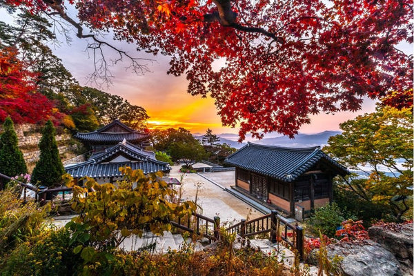Quatre raisons de visiter la Corée du Sud en automne