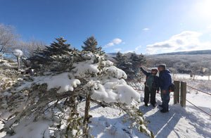 Jeju Island: A Picturesque Adventure - Daebak