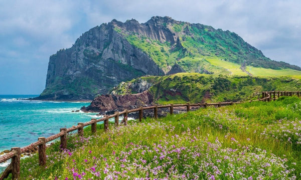 Île de Jeju: une aventure pittoresque