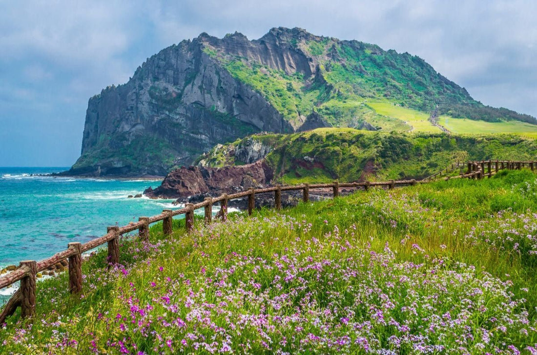 Jeju Island Travel Guide - Daebak