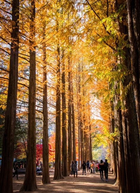 K-Drama Filming Locations Tour Guide: Plan a Hallyu Travel Itinerary in Korea - Daebak