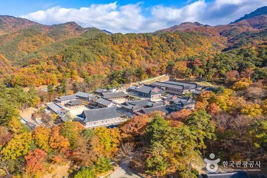 Korean Temple Stay Guide: Inside Korea's Buddhist Monastery Experience - Daebak