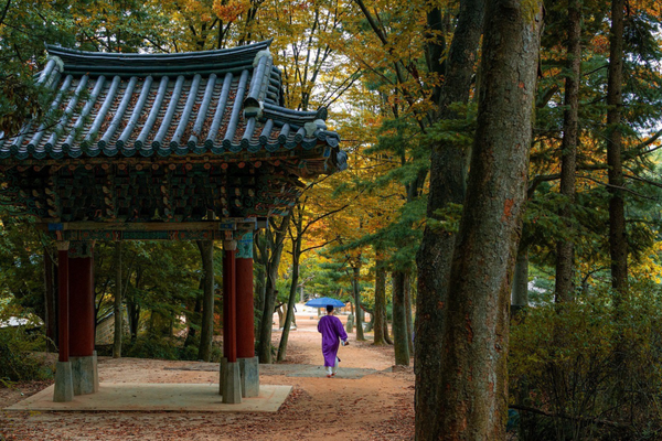 Viaje a través de Gyeonggi-do: Guía definitiva para los 5 lugares imperdibles