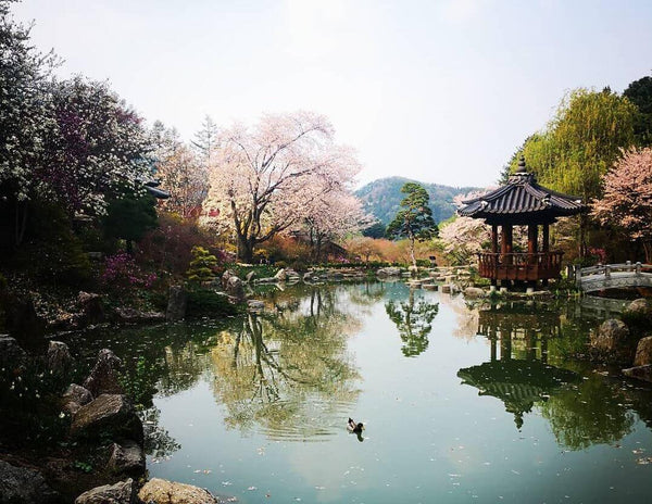 最高級の韓国の自然