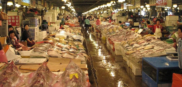 Destacando el mercado de pescado de Noryangjin
