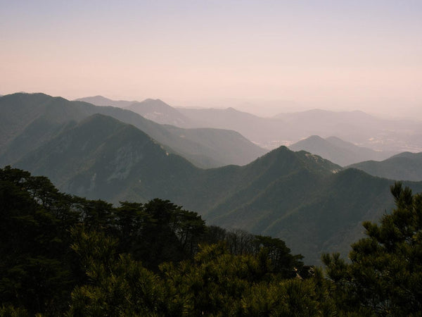 健康的な旅行への道: 韓国でのハイキング
