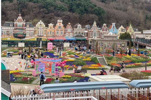 Top 10 Attractions at Everland Korea Theme Park You Should Try