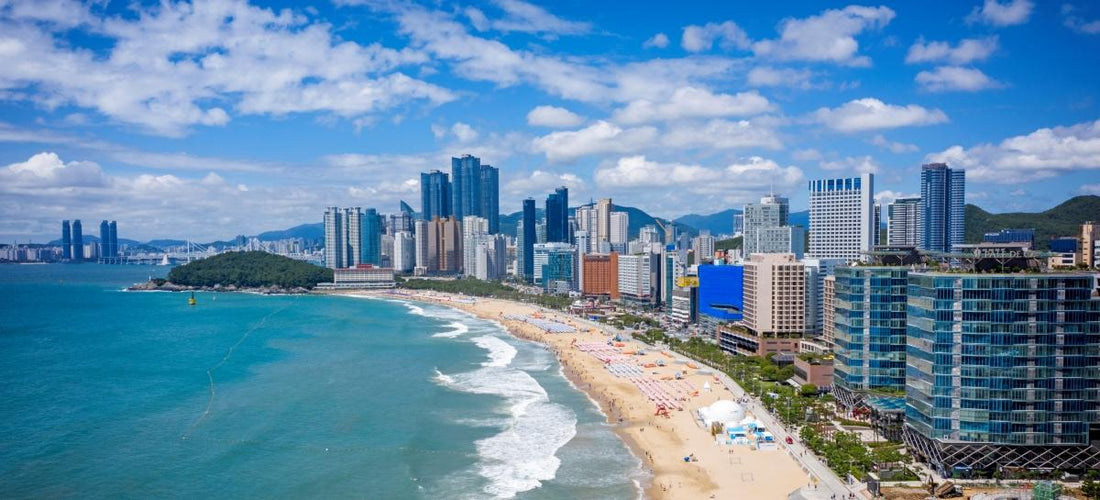 Ultimate Busan Travel Guide 2026 - Daebak