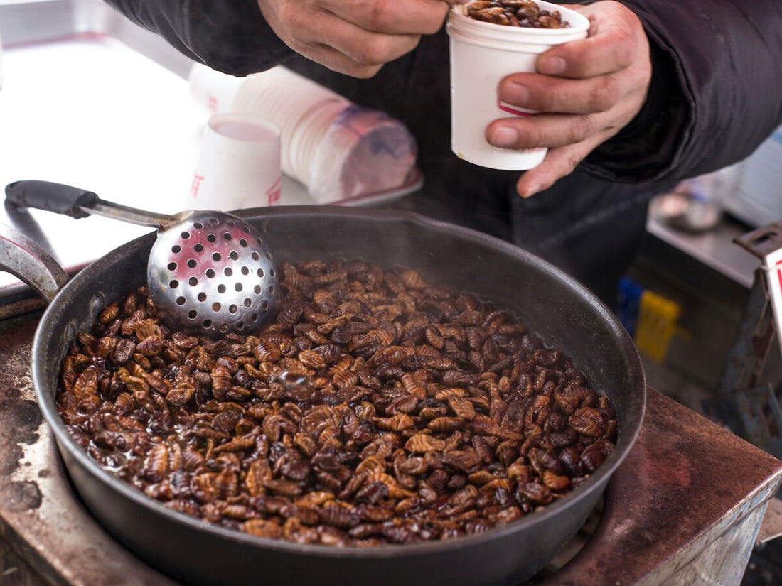 What Is Beondegi? Korea's Silkworm Pupa Snack Explained - Daebak
