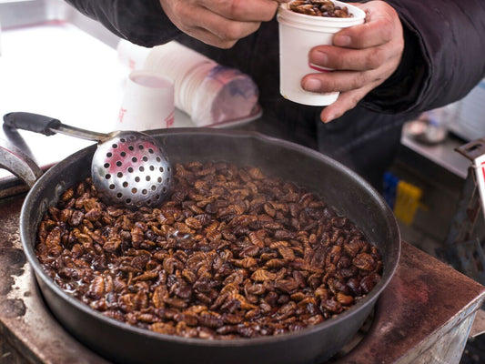 What Is Beondegi? Korea's Silkworm Pupa Snack Explained - Daebak