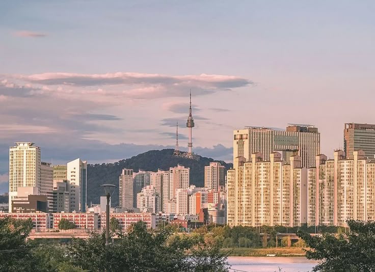 Why Everyone Wants to Experience Korea Like a Local in 2026 - Daebak