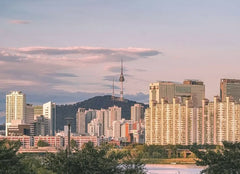 Why Everyone Wants to Experience Korea Like a Local in 2026 - Daebak
