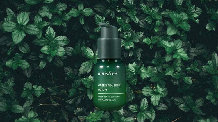 Innisfree - Daebak