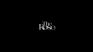 The Rose | Daebak
