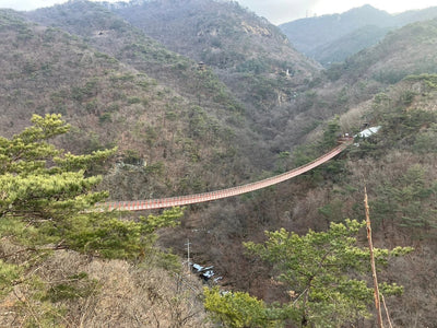 Best DMZ Tour Korea from Seoul + Red Suspension Bridge