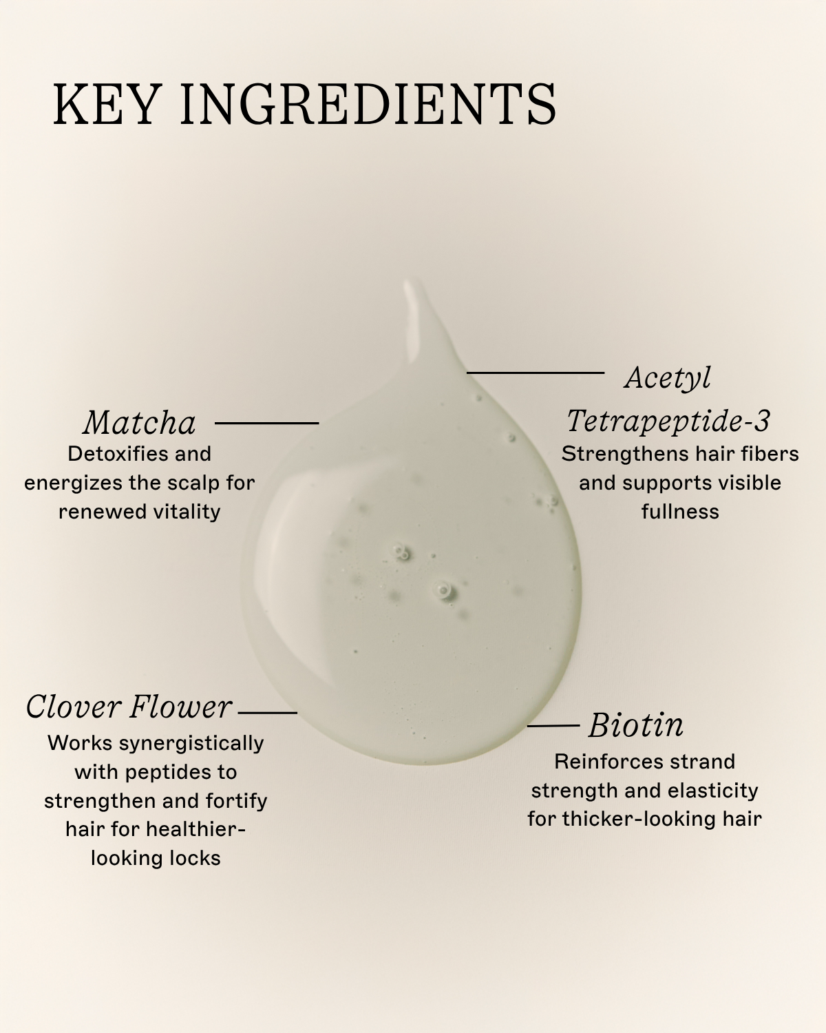 The Matcha Rinse - Thickening Shampoo