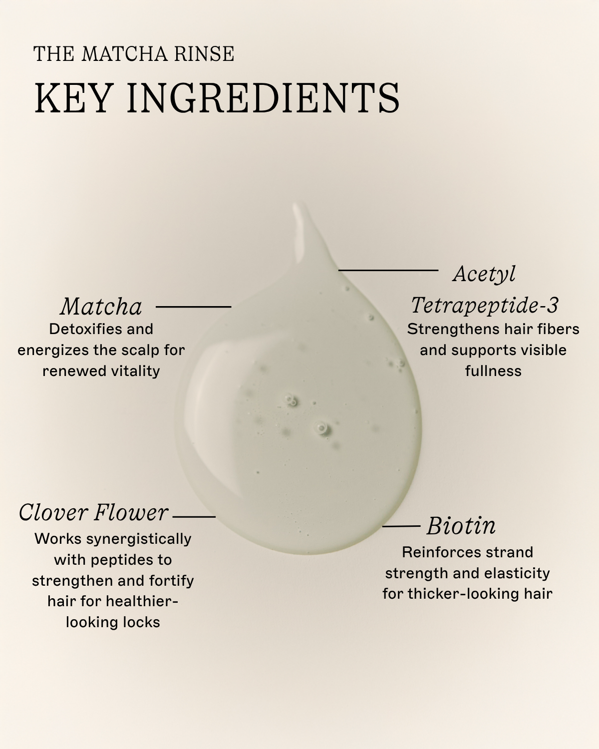 The Thickening Duo - Shampoo & Conditioner