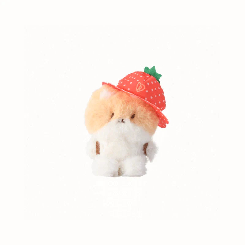 BAEKHYUN [Character MD] 10cm Berry Lover Teolaegi (Who likes this hat?)