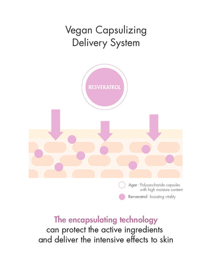Dr. Ceuracle Vegan Active Berry Lifting Cream