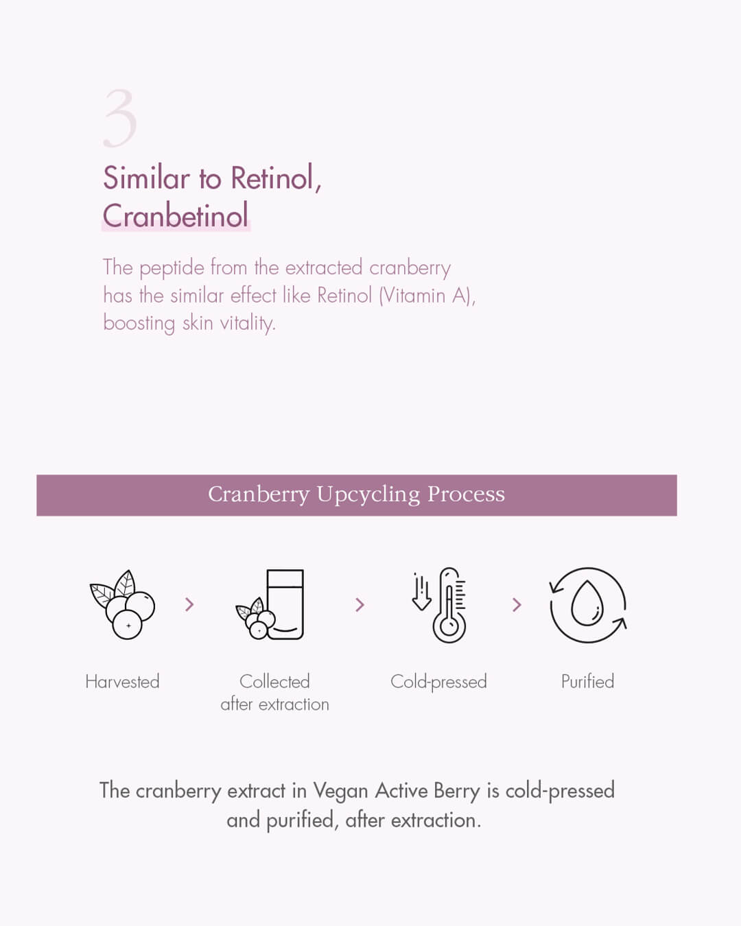 Dr. Ceuracle Vegan Active Berry Lifting Cream