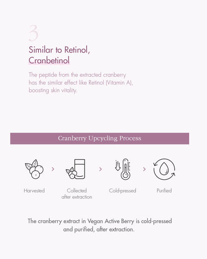 Dr. Ceuracle Vegan Active Berry Lifting Cream