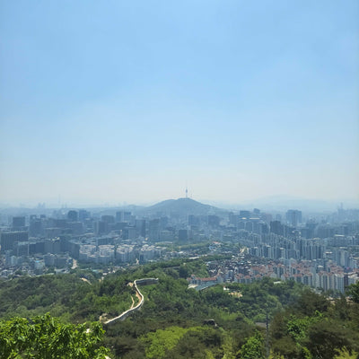 Inwangsan Discovery Hike
