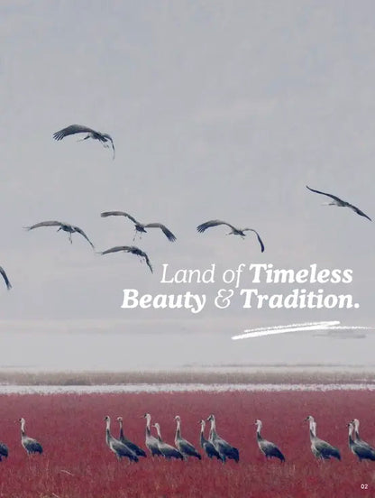 Birds flying over a body of water with text 'Land of Timeless Beauty & Tradition' on a gray background.
