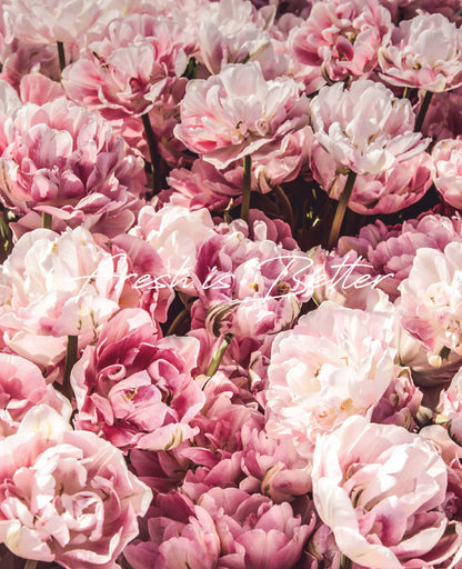 Urang Organic Rose Mist (2025/2026 Limited Edition)